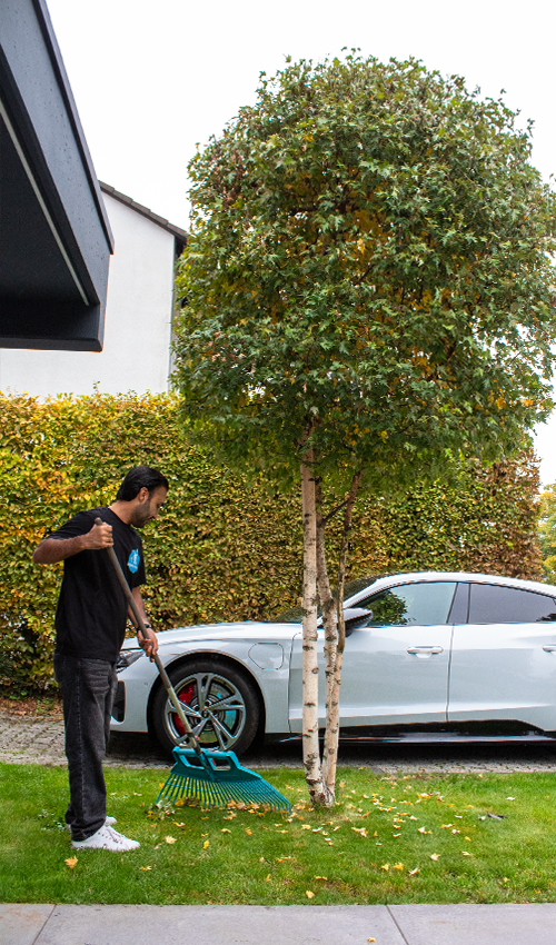 Ein Mitarbeiter von Sauber In Form sammelt mit einem Rechen Laub im Garten vor einem modernen Wohnhaus.