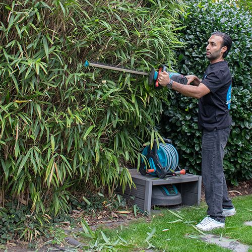 Ein Gärtner von Sauber In Form schneidet mit einer elektrischen Heckenschere dichte Bambuspflanzen im Garten.