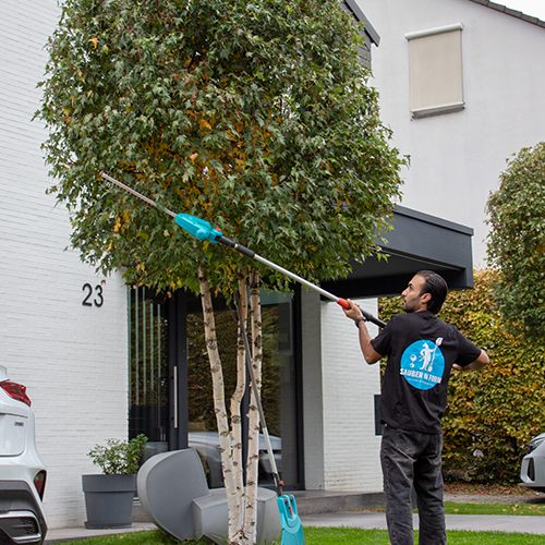 Ein Mitarbeiter von Sauber In Form schneidet mit einer Teleskopschere die Äste eines Baumes vor einem modernen Wohnhaus.